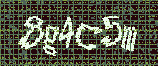 CAPTCHA_picture