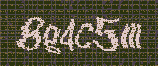 CAPTCHA_picture