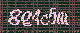 CAPTCHA_picture