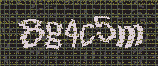 CAPTCHA_picture