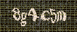 CAPTCHA_picture