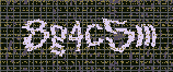 CAPTCHA_picture