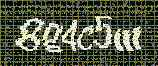 CAPTCHA_picture