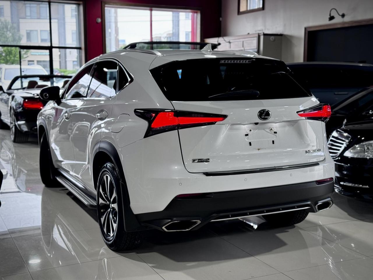 NX300 F-SPORT
